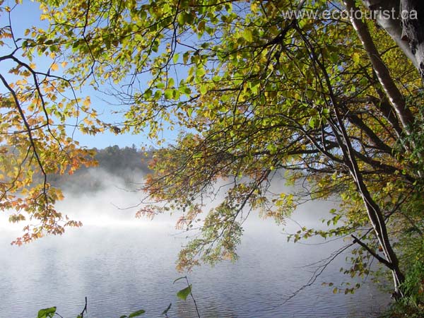 autumn_colors108
