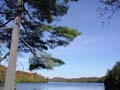 autumn_colors116