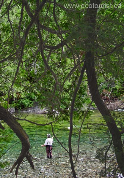 flyfishing123
