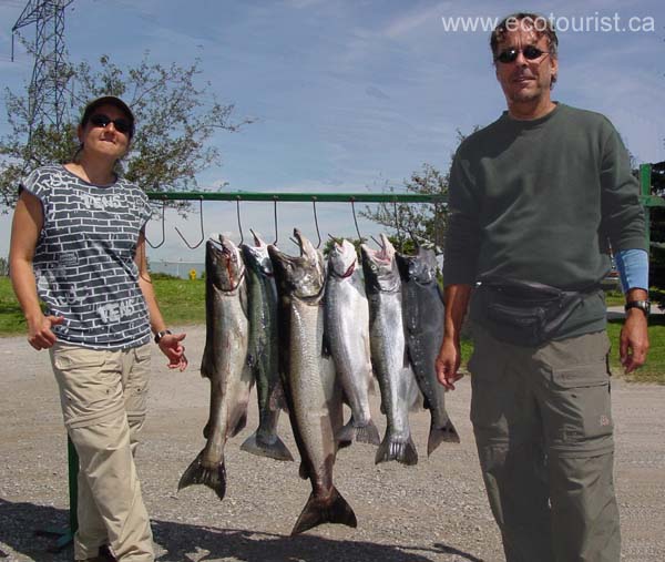 lake_ontario_salmon112