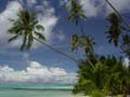 moorea119