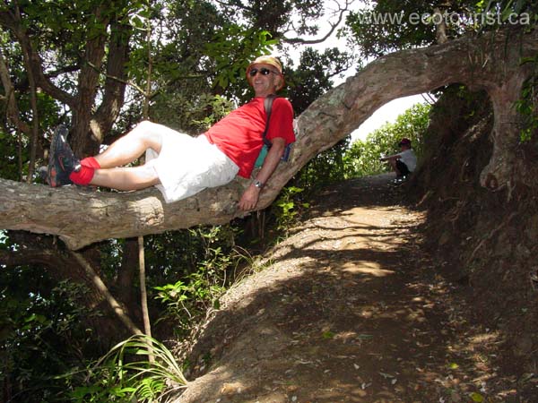 newzealand_piha203