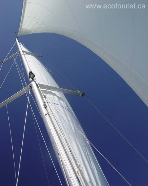 newzealandboating113