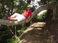 newzealand_piha203